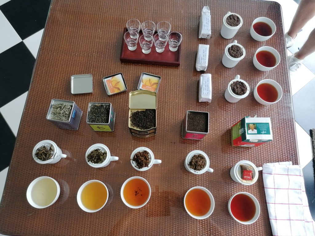 Ceylon Tea Trails - Tea Tasting