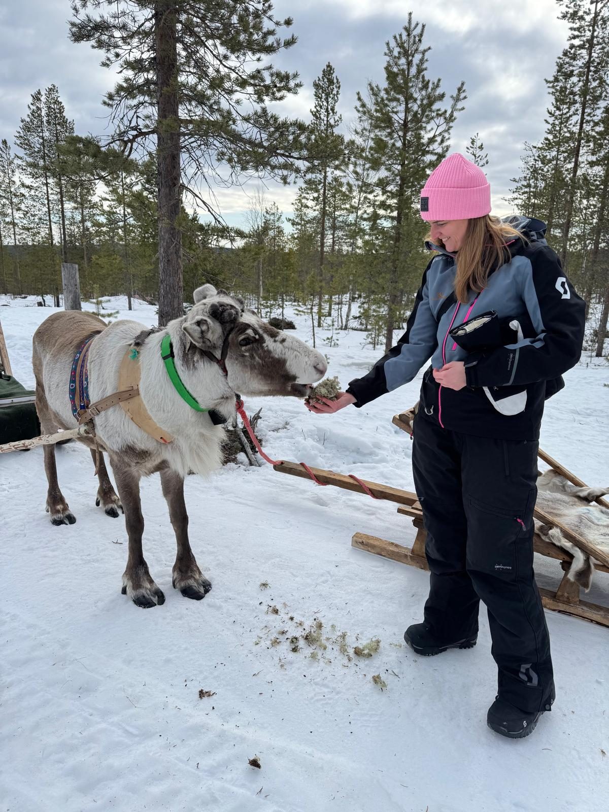 BAWA in Lappland